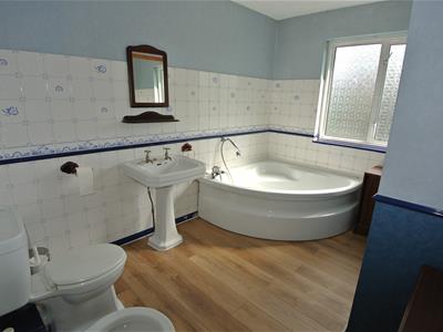 Picture 5